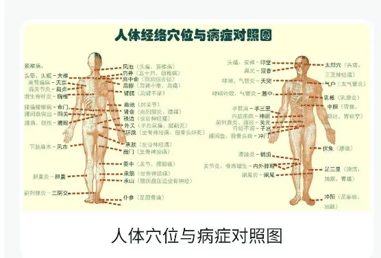 🧘‍♂️ 按摩小白秒变老中医？这款“人体穴位图解”App简直是居家必备神器！